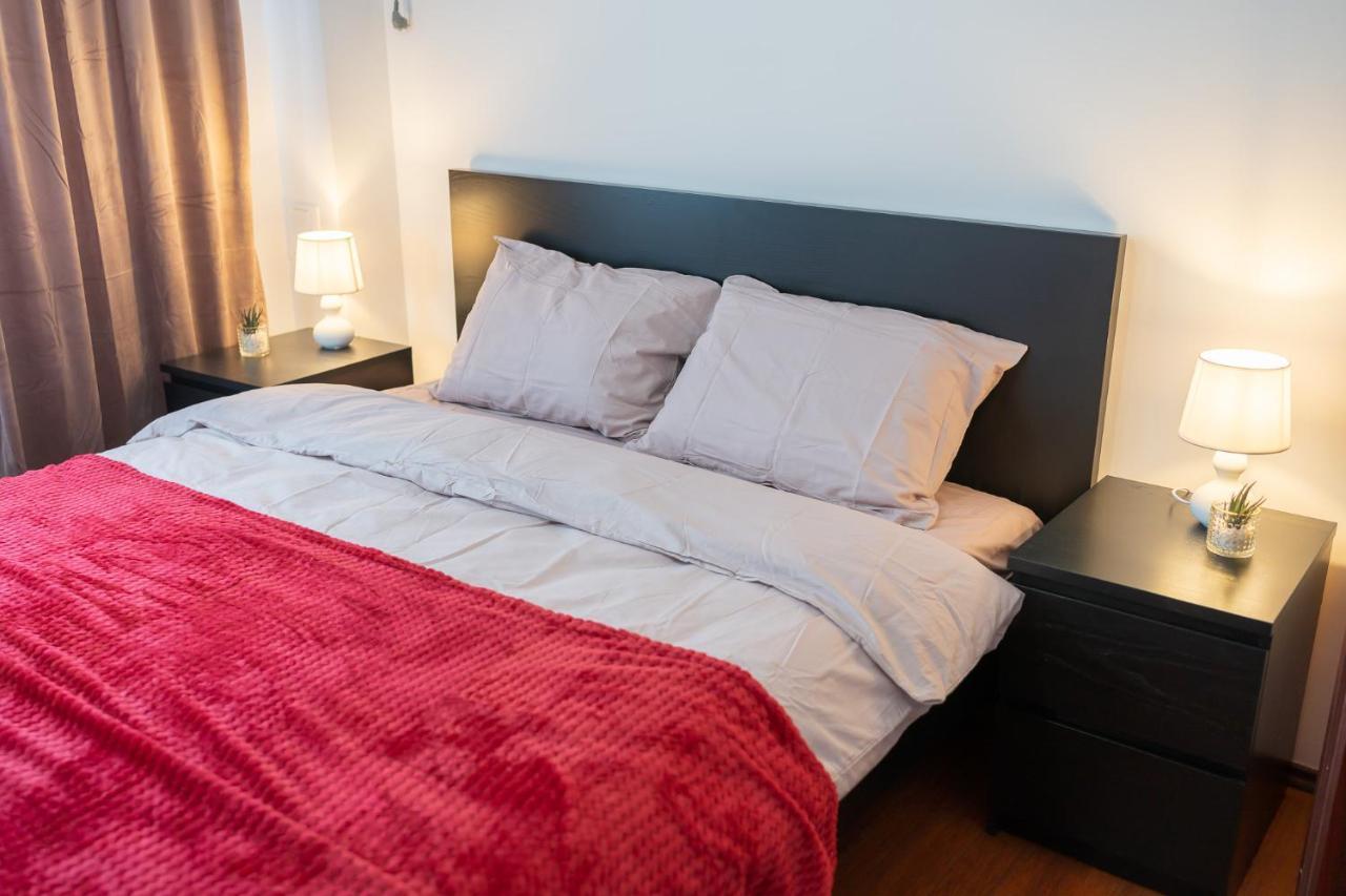 Spacious 2Br Dristor Apartment 布加勒斯特 外观 照片