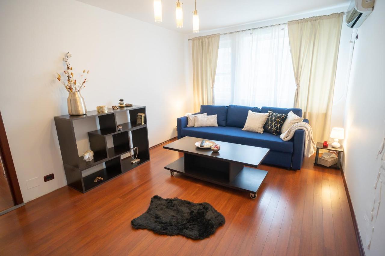 Spacious 2Br Dristor Apartment 布加勒斯特 外观 照片