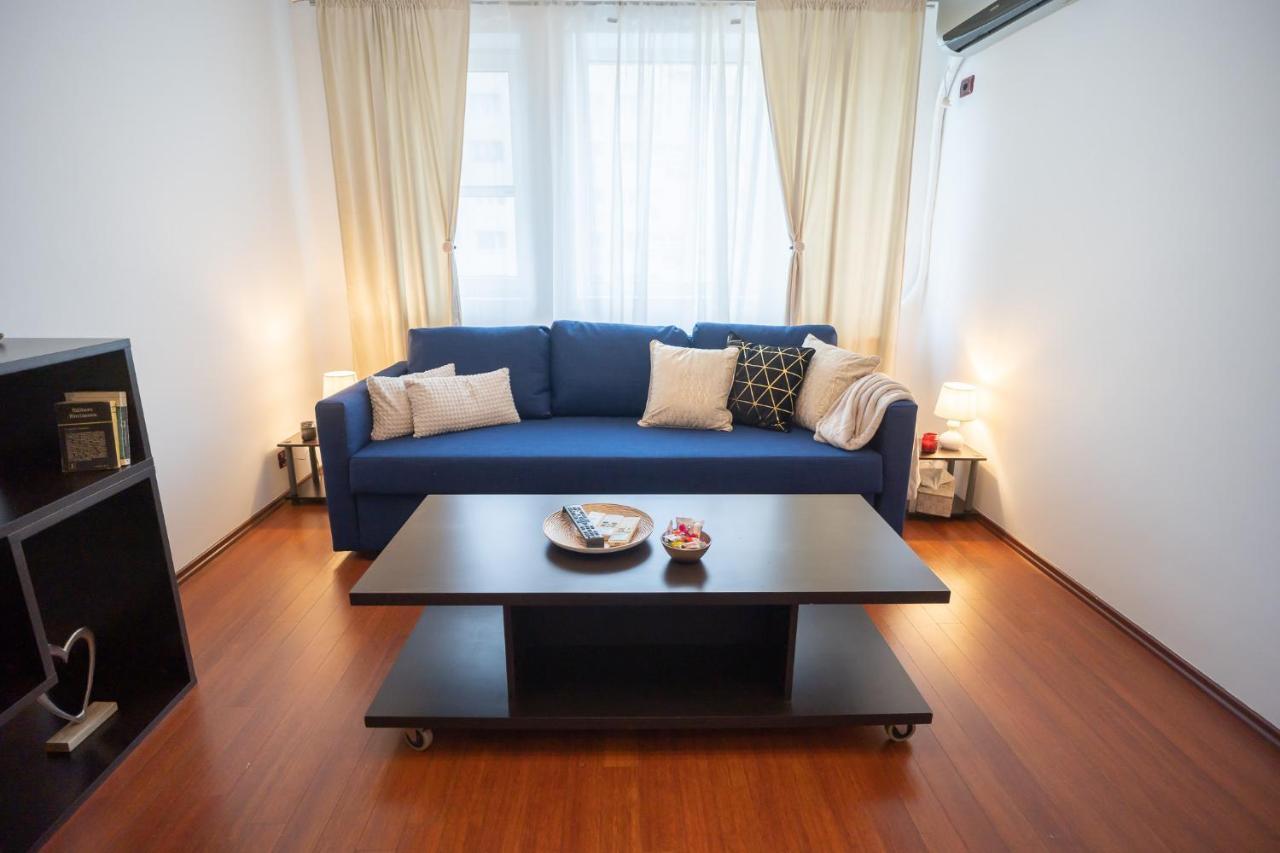 Spacious 2Br Dristor Apartment 布加勒斯特 外观 照片
